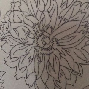 Meet your Posher, Teresa